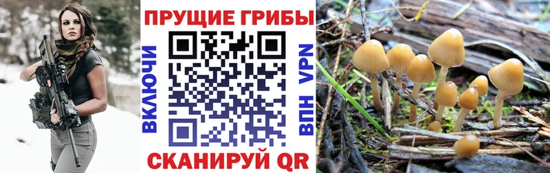 Галлюциногенные грибы прущие грибы  Купить где  Староминская 